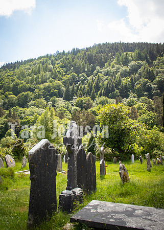 Glendalough Field Trip (40 of 117)