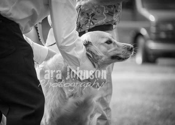 24 D & B Law Wedding - Full Collection B&W (145 of 308)