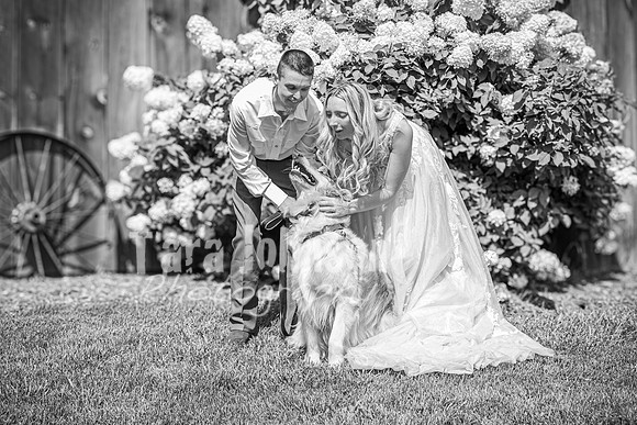 Doug & Bridget Law - Complete - BW - TJP (157 of 551)