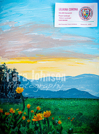 2025 OLSM Art Show - Art Selections - TJP (79 of 237)