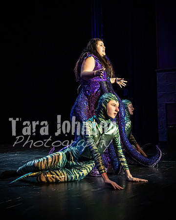 22 LHS Theatre - Mermaid R1 - Act 1 - TJP (139 of 363)