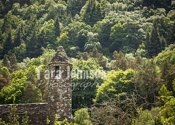 Glendalough Field Trip (50 of 117)