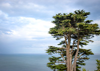 Killiney Hill Hike - Full Collection (12 of 77)