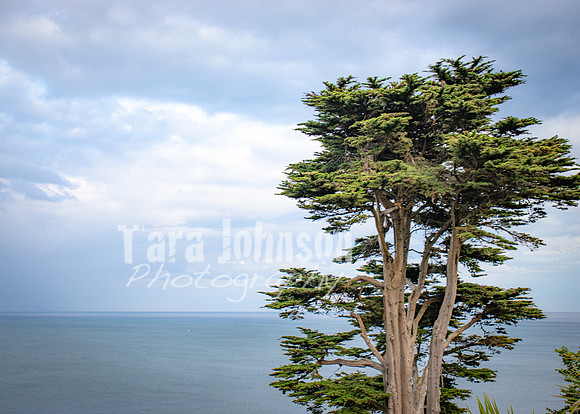 Killiney Hill Hike - Full Collection (12 of 77)