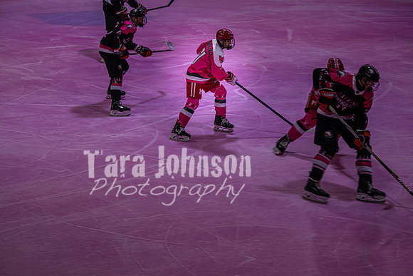 2025 Pink In The Rink- AA (25 of 29)
