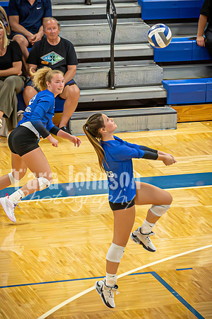 24 LHS Vball vs. S. Lyon 9-17 - TJP (118 of 151)