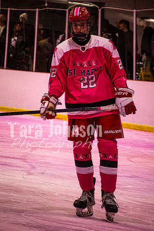 2025 Pink In The Rink- AA (21 of 29)