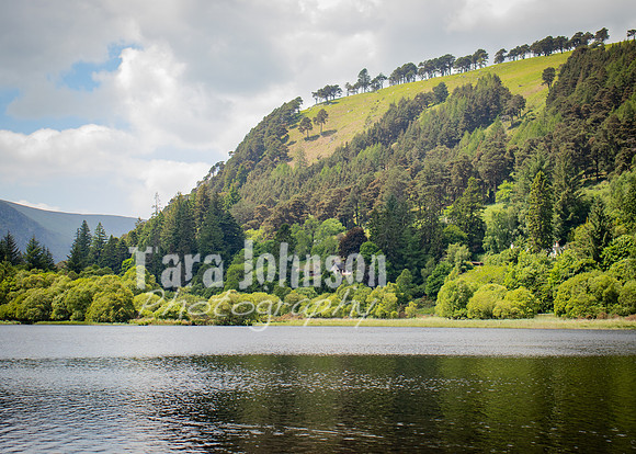 Glendalough Field Trip (57 of 117)