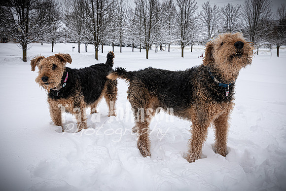 Woodrow & Lilly - TJP (3 of 64)