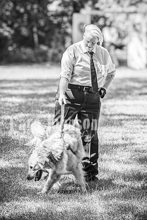 Doug & Bridget Law - Complete - BW - TJP (182 of 551)