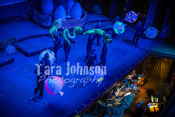 2024 MTC - Honk - Final Show (Saturday) - TJP (241 of 1152)