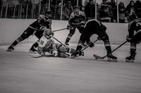 2025 Pink In The Rink- AA (13 of 29)
