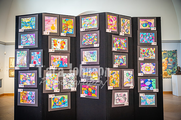 2025 OLSM Art Show - Art Selections - TJP (9 of 237)