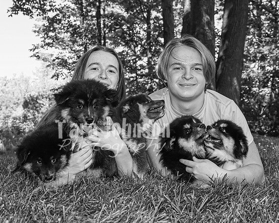 Bryde Family & Finish Lapphund Pups - BW - TJP (48 of 60)