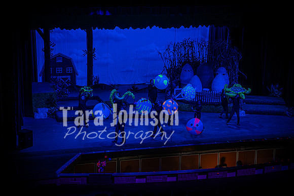 2024 MTC - Honk - Senior Show (Thursday) - TJP (59 of 360)