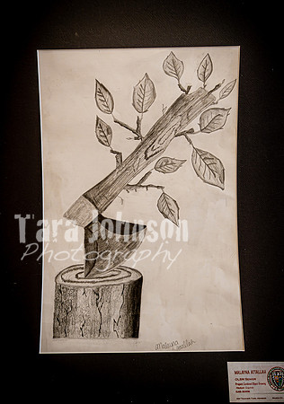 2025 OLSM Art Show - Art Selections - TJP (67 of 237)