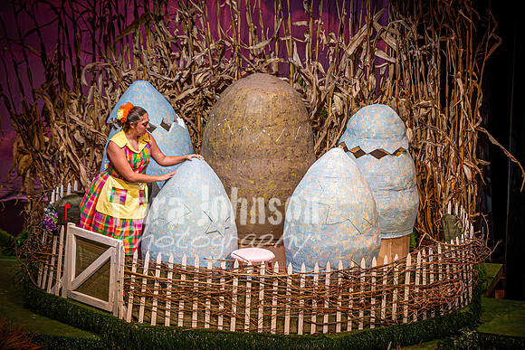 2024 MTC - Honk - Matinee - TJP (95 of 856)