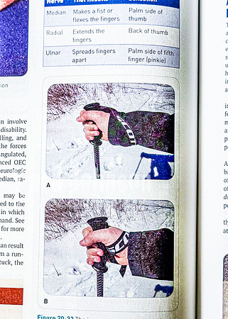 OEC - Visuals (233 of 460)
