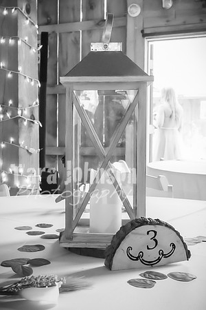 Tim & Corrissa - Complete - BW - TJP (24 of 585)
