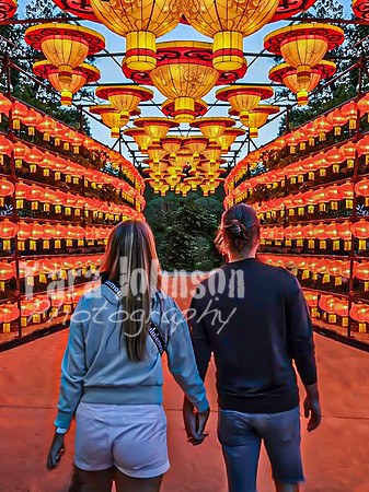 Ronnie & Julie - Lanterns