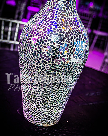 2025 U of D Prom - Complete Collection - TJP (206 of 374)