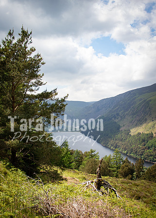 Glendalough Field Trip (77 of 117)