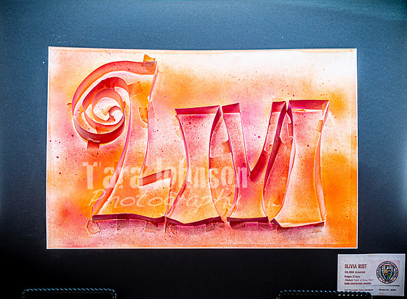 2025 OLSM Art Show - Art Selections - TJP (58 of 237)