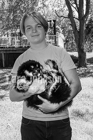 Bryde Family & Finish Lapphund Pups - BW - TJP (31 of 60)