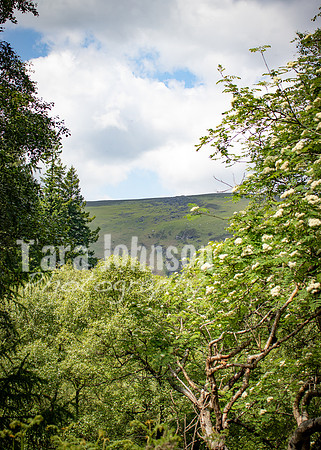 Glendalough Field Trip (73 of 117)