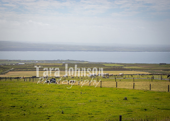 Cliffs of Moher Trip (75 of 96)