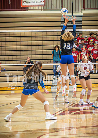 24 LHS Vball vs. MHS 9-19 - TJP (71 of 156)