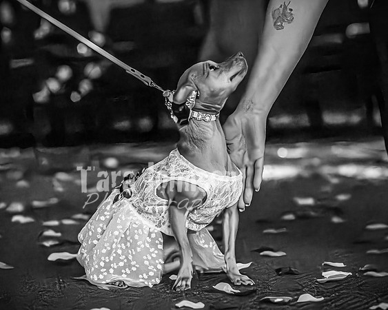 Mitch & Kelly - Highlights - BW - TJP (90 of 95)