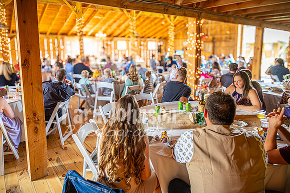 Doug & Bridget Law - Reception - TJP (39 of 193)