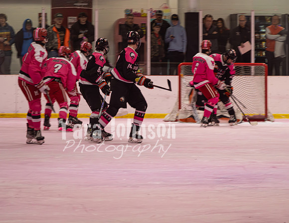 2025 Pink in the Rink - EL (13 of 28)
