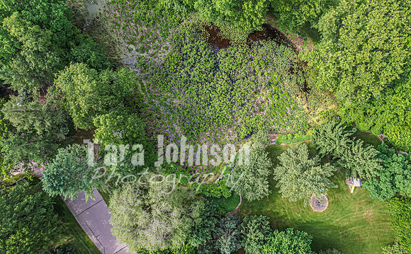 Homestead - 7011 Cedar Creek (8GB max) - TJP (5 of 109)
