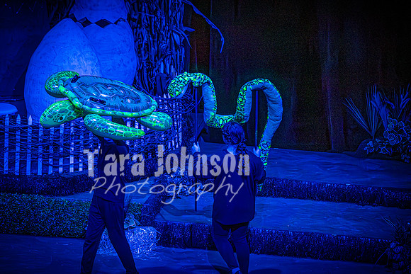 2024 MTC - Honk - Matinee - TJP (132 of 856)