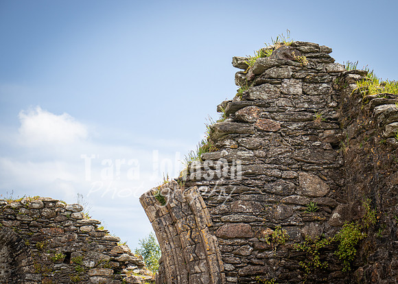 Glendalough Field Trip (43 of 117)