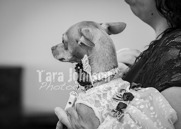 24 M. & K. Eaton Wedding [Full Collection B&W] - DH (95 of 352)