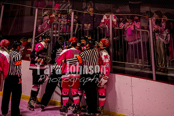 2025 Pink In The Rink- AA (18 of 29)