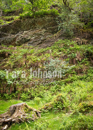 Glendalough Field Trip (67 of 117)
