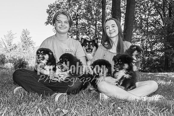 Bryde Family & Finish Lapphund Pups - BW - TJP (34 of 60)