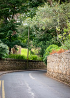 Killiney Hill Hike - Full Collection (6 of 77)