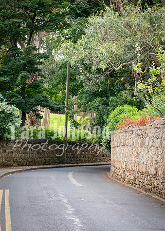 Killiney Hill Hike - Full Collection (6 of 77)