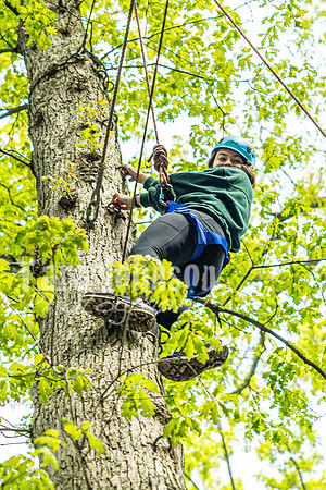 22 IAW Ropes Course - TJP (35 of 135)