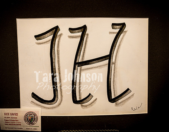 2025 OLSM Art Show - Art Selections - TJP (44 of 237)