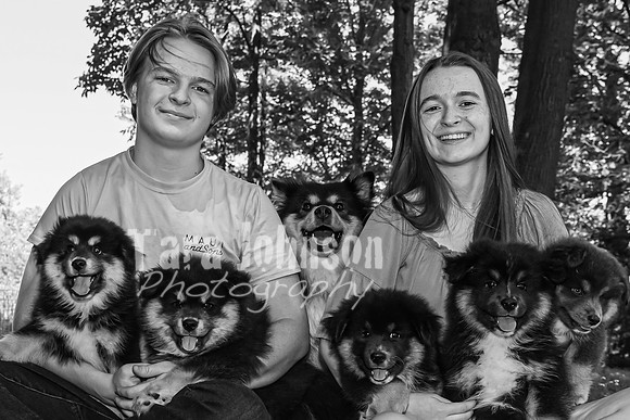 Bryde Family & Finish Lapphund Pups - BW - TJP (37 of 60)