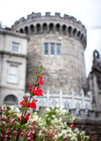 Dublin Castle - The Garden (16 of 36)