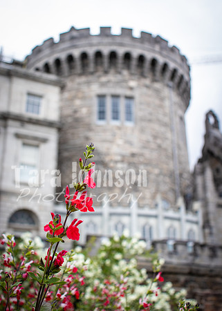 Dublin Castle - The Garden (16 of 36)