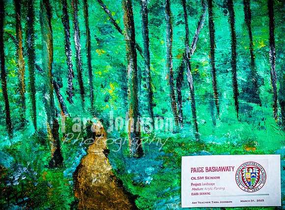 2025 OLSM Art Show - Art Selections - TJP (81 of 237)