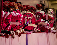 2025 Pink In The Rink- AA (3 of 29)